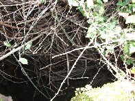 otte Scorciavacca20110306 126